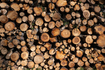 Detail of a wood pile. This photography makes a nice abstract picture.