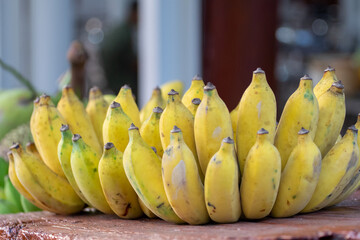 The cultivated banana background