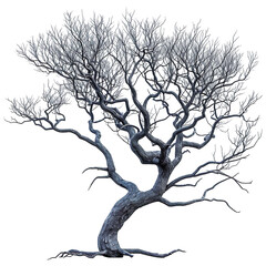 Bare, intricate tree with twisted branches stands against a stark, isolated on a white background