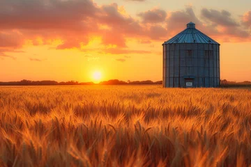 Fotobehang Golden Harvest - A beautiful sunset over a field of wheat, with a silo in the background. Generative AI © riya