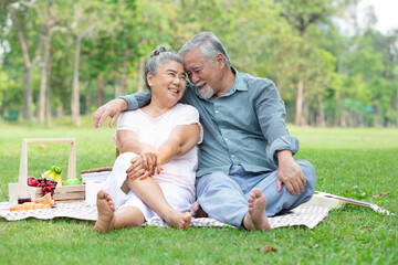 senior couple having a picnic, embracing and looking each other in the park