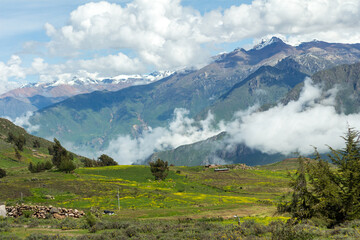 Spectacular and amazing colorful panorama of the Andes Mountains. Farmland near the Colca Canyon, Peru. Cloudy sky. Snow on the peaks, white clouds blue sky, green grass. Rapeseed crops.