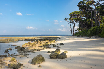 Lakshmanpur white sand beach and low tide at the tropical coast of  tropical Shaheed Dweep or Neil...