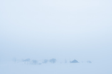 凍りついた木
frozen tree