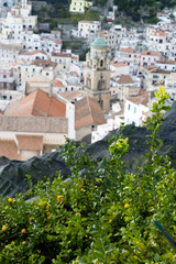 Amalfi, Amalfi coast, Salerno, Italy.
glimpses of Amalfi, the town between lemon groves and the Lattari mountains, view of the Amalfi cathedral with its bell tower with the sea