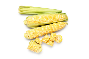 Fresh corn cobs on white background