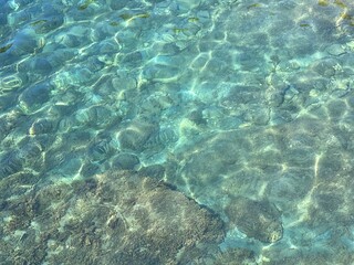 Fototapeta na wymiar Sea blue transparent water with pebbles and seaweed.