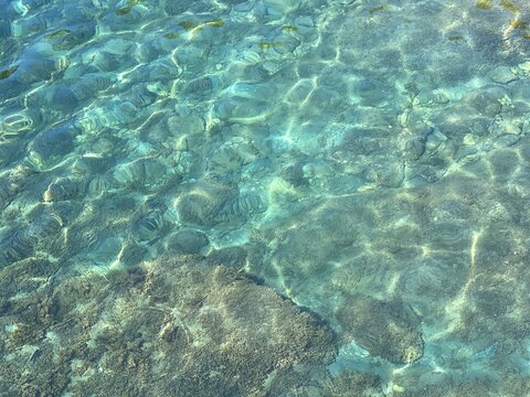 Sea blue transparent water with pebbles and seaweed.