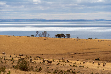 Vast landscape on Kangaroo Island