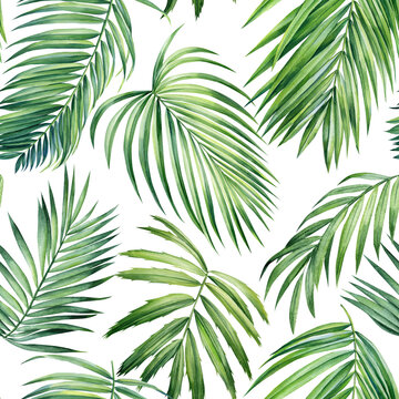 Seamless pattern Palm coconut leaves, watercolor painting. Jungle leaf, Tropical green plant for wallpaper, textile