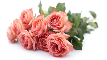Obraz premium bouquet of pink roses on a white background