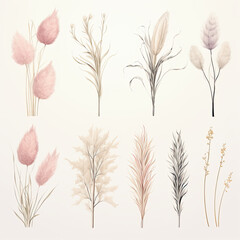 pampas grass background