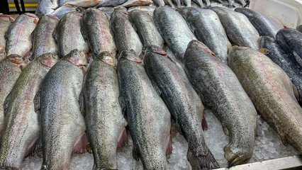 Fresh Large Sea Fish Trout On Counter In Fish Shop