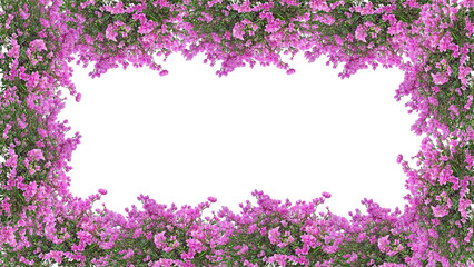 pink flowers frame, bougainvillea, isolated on transparent background,  PNG