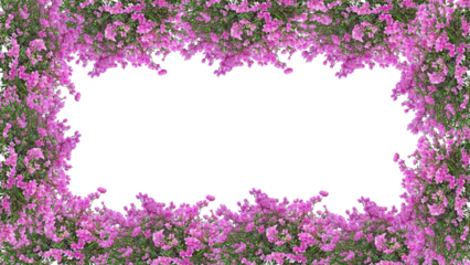 pink flowers frame, bougainvillea, isolated on transparent background,  PNG