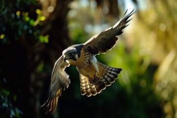 bird swooping down, wings outstretched towards the lens