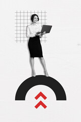 Vertical creative collage poster young attractive businesswoman hold laptop satisfied face trader money earning promotion increase profit