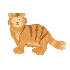Cat type Tiger