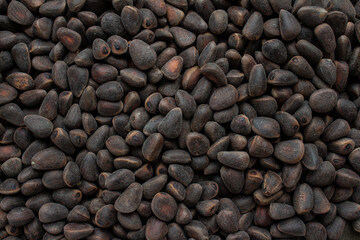 Unshelled pine nuts are scattered on the surface, nearby are cedar cones with frozen resin on them, cedar