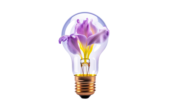 Purple flower inside the transparent bulb on a White or Clear Surface PNG Transparent Background.