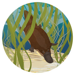 Round composition. The platypus dives in river water. Endemic species of Australia and Tasmania. Realistic vector landscape