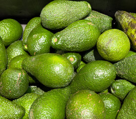 Avocado on the counter in the market