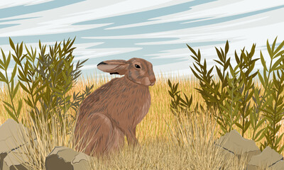 A brown hare sits in the tall dry grass and green bushes. Animals of Europe. Realistic vector landscape