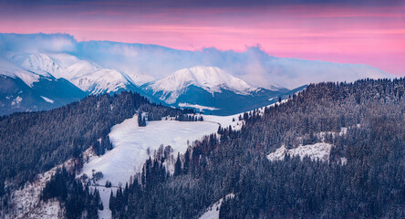 Untouched winter landscape. Chornogora mountain range in the morning mist. Colorful winter sunrise...