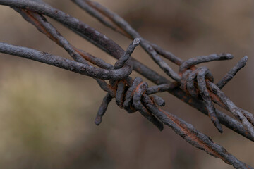 old rusty barbed wire photographed in detail