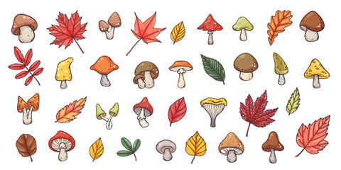 Big set of hand drawn autumn mushrooms and leaves elements, hand drawn cute cartoon colourful style, vector illustration