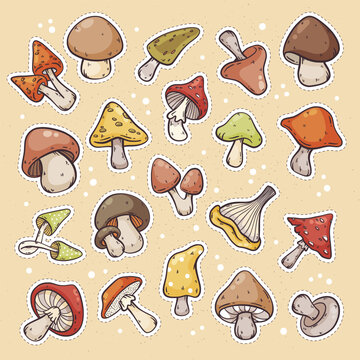Autumn mushroom sticker set on yellow background, cute doodle sketch hand drawn style, vector illustration