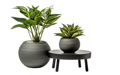 nesting tables plastic with a side plant on a White or Clear Surface PNG Transparent Background.