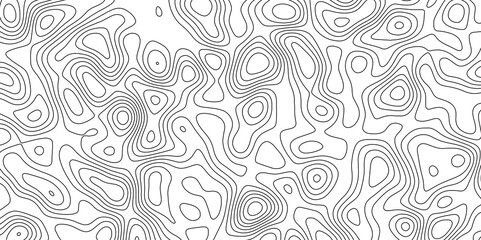 abstract white wave paper curved reliefs background. Topography map pattern, Geographic curved, vector illustration. seamless textrue, vintage waves. Panorama view multicolor wave curve line.