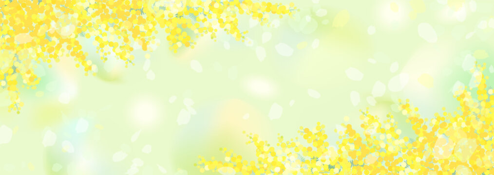 ミモザと明るい緑の背景