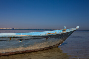 Naklejka premium Old ship rusts in shallow water. Abandoned fishing boat at sea