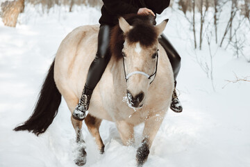 A girl in a black suit rides a brown pony in a winter forest