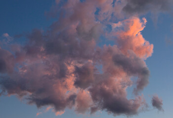 Cloud landscape. Pink and brown summer cumulus clouds on a blue sky during sunset. Wallpaper. Background. Soft focus.
