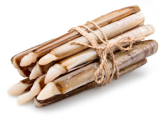 Raw razor clams isolated on white background.