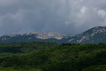 Obraz premium Mountain landscape in the European mountains. Mountain peak and observation deck surrounded by green forest.