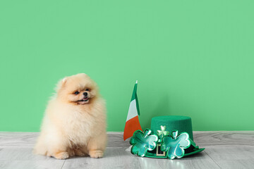 Cute Pomeranian dog with leprechaun's hat, Irish flag and novelty glasses on green background. St....