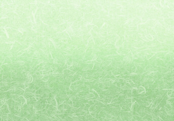 Obraz na płótnie Canvas 自然の繊維を散りばめた、緑色グラデーションの創作和紙