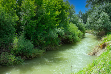 Landscape, narrow mountain river with emerald water surrounded by trees. Crimea.