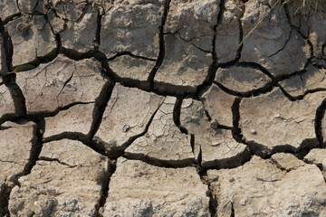 Drought, big cracks in dry ground. background.