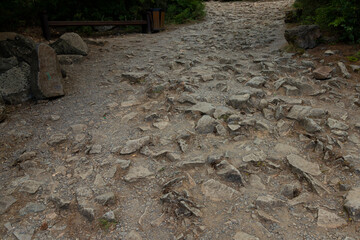 Bad tourist path with protruding stones on the tourist route. Difficulties in hiking.