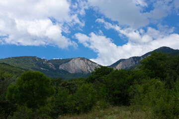 Mountain landscape, velvet green mountains with a forest and gray steep cliffs against a sky with clouds. Landscape.