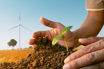 Hands nurturing plant life, growth, and care in nature's embrace. and Wind turbine farms or wind...