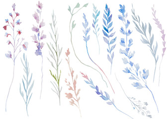 Fototapeta na wymiar Watercolor pink and blue twigs and leaves isolated illustration, pastel wedding element