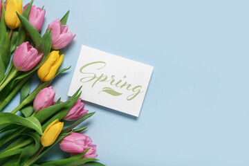 Greeting card with word SPRING and beautiful tulips on blue background