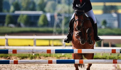 Küchenrückwand glas motiv Horse close-up show jumping competition. © RD-Fotografie