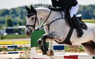Küchenrückwand glas motiv Horse close-up show jumping competition. © RD-Fotografie
